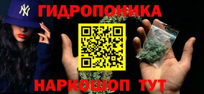 jwh Новозыбков