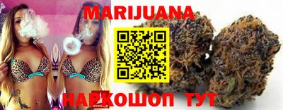 jwh Новозыбков